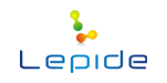 Lepide Software